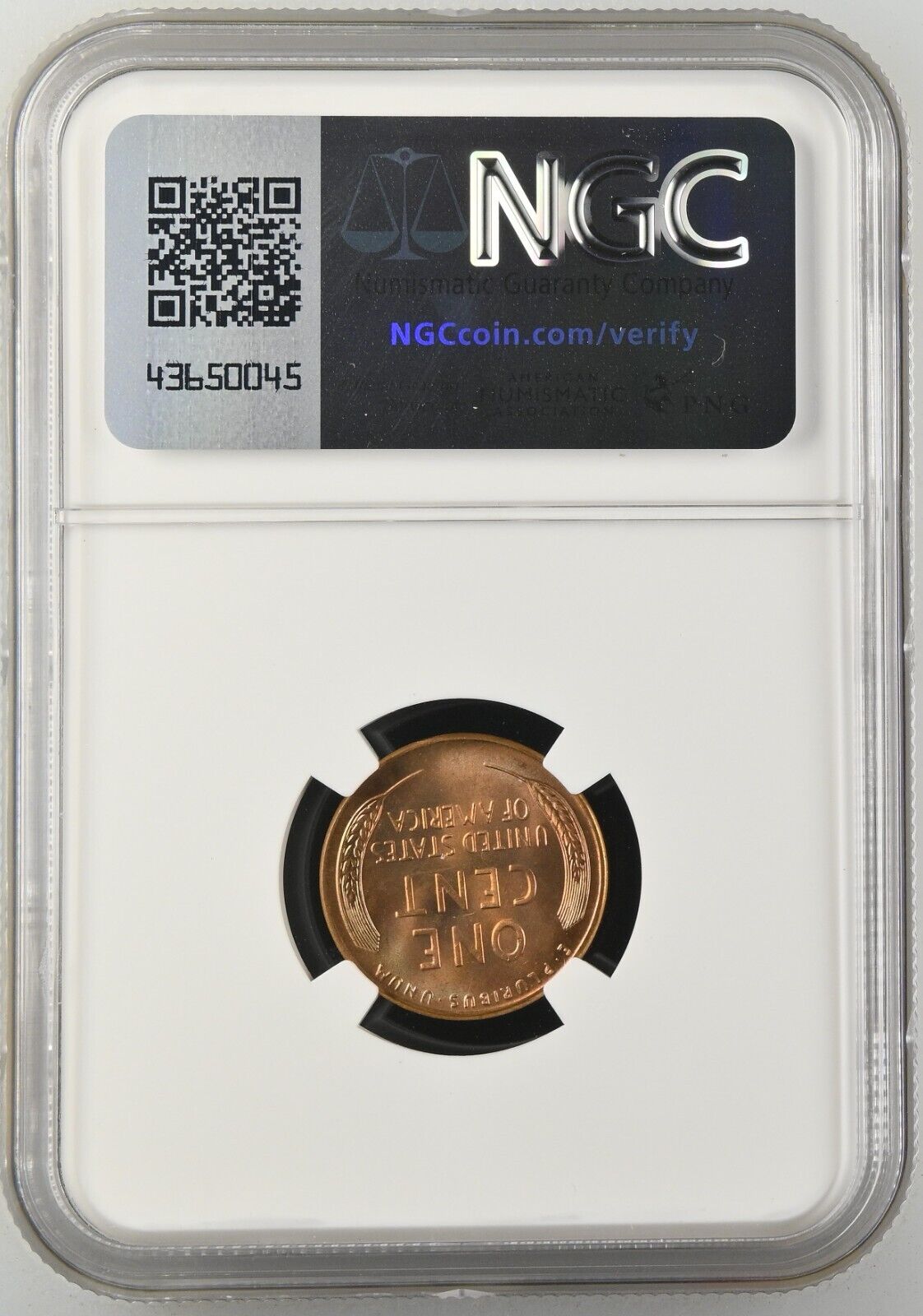 1955 1C Lincoln Head Wheat Cent ** MS67+ Red ** NGC Super Rare !