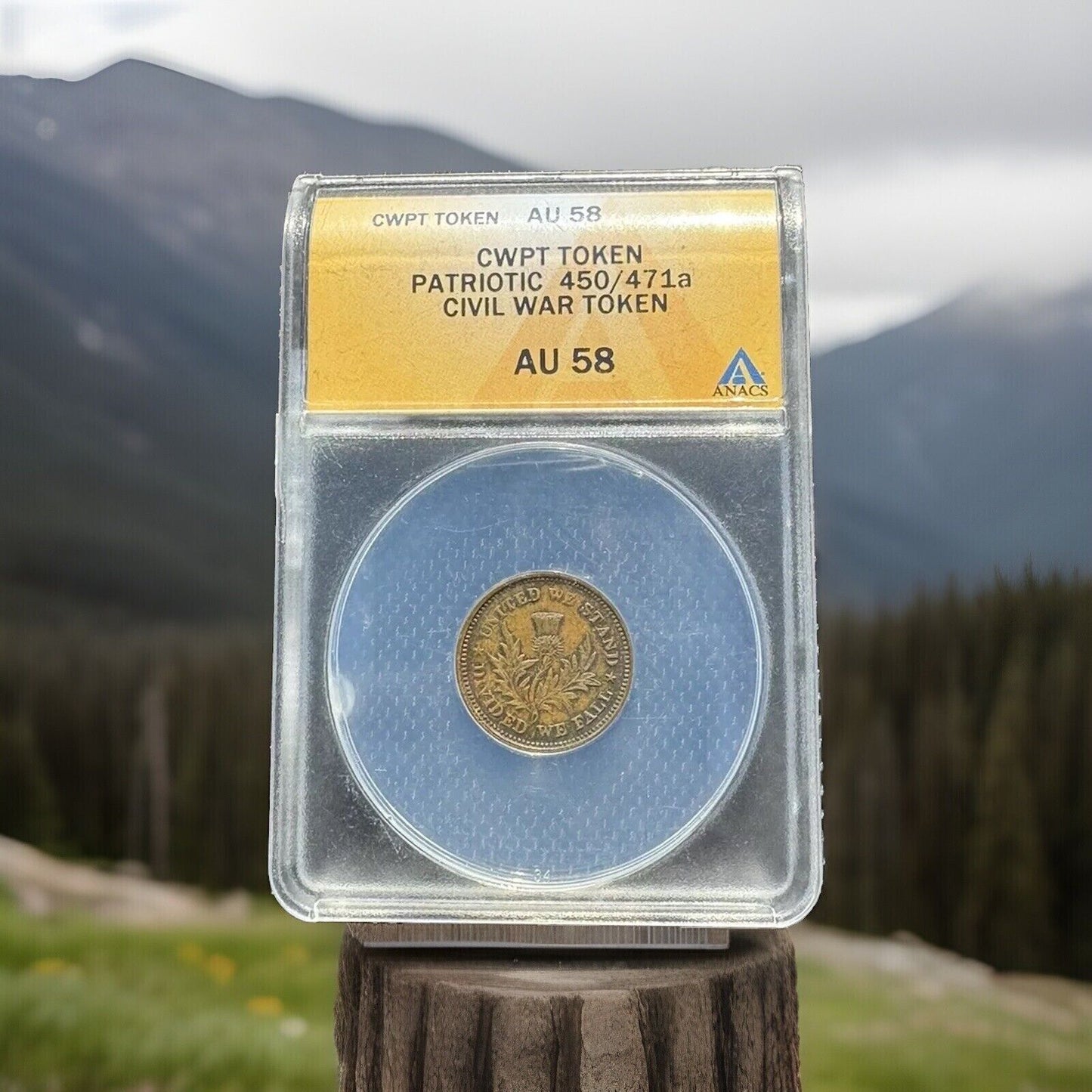 Civil War Patriotic Token 450/471a AU58 United We Stand Divided We Fall ANACS