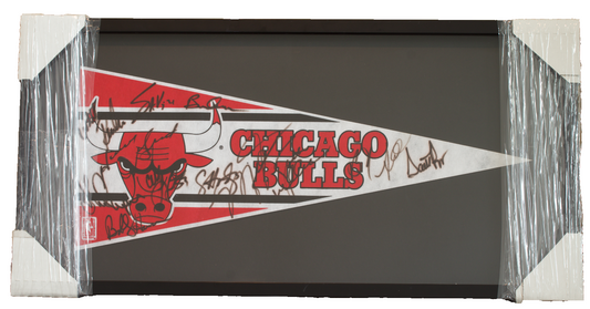 1991-92 Chicago Bulls Team Signed Pennant Michael Jordan Pippen JSA Beckett LOA