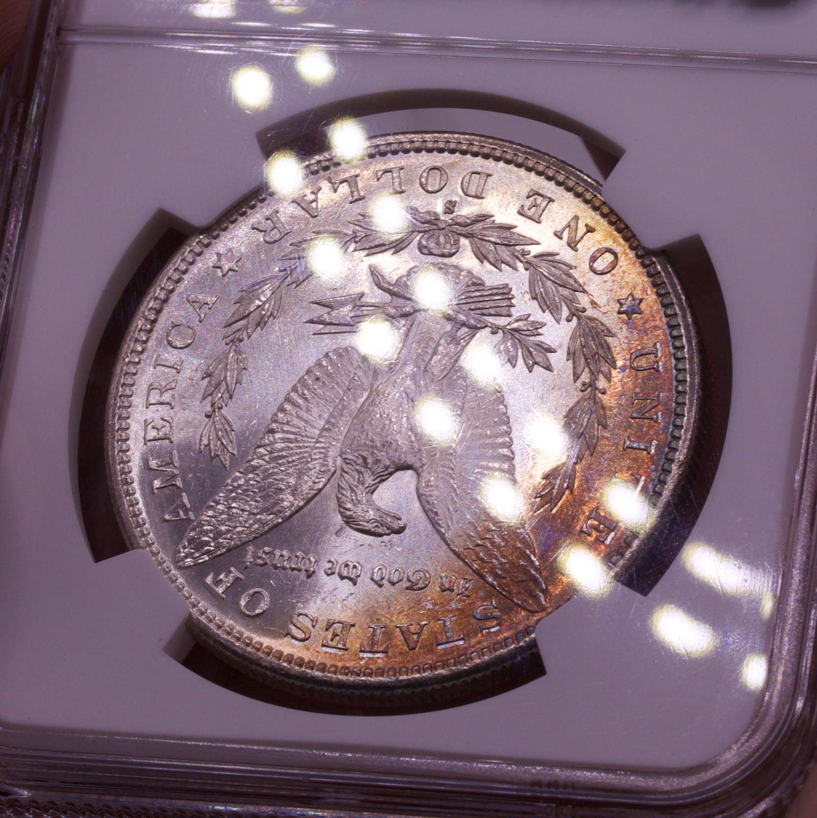 1881-S Morgan Dollar NGC MS64 Toned Reverse Sunset Rim Color San Francisco $1