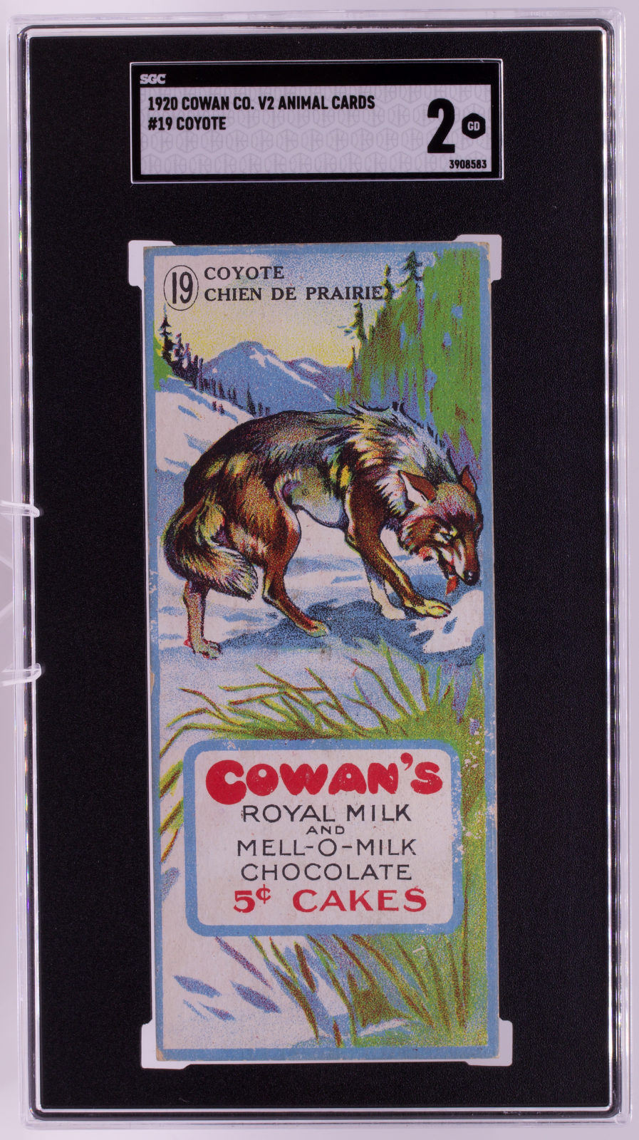1920 V2 Cowan Co. Animal Cards #19 Coyote SGC 2 Good Royal Milk Mell-O-Milk