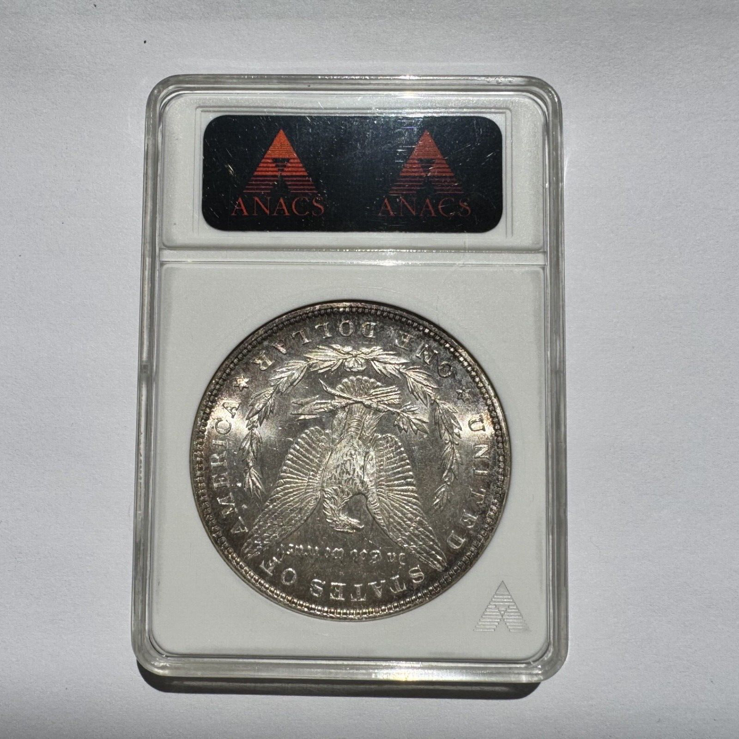 1881 Morgan Silver Dollar – ANACS Certified MS62 – Sharp Strike, Lustrous BU