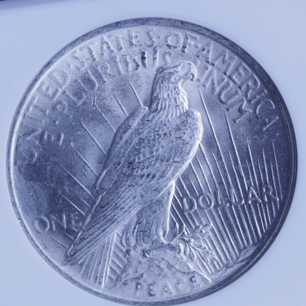 1923 Peace Dollar NGC MS64 • Patriot Collection • 90% Silver $1 Coin