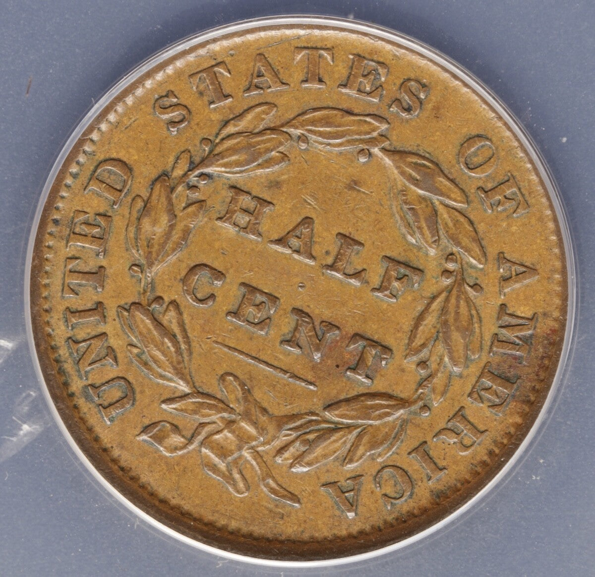 1835 Classic Head Half Cent ANACS AU50 Early Copper 1/2C Coin - Problem Free