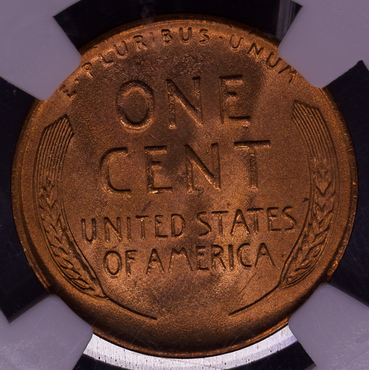 1955-D Wheat Penny 1C NGC MS67 RD Blazing Red Superb Gem Lincoln Cent