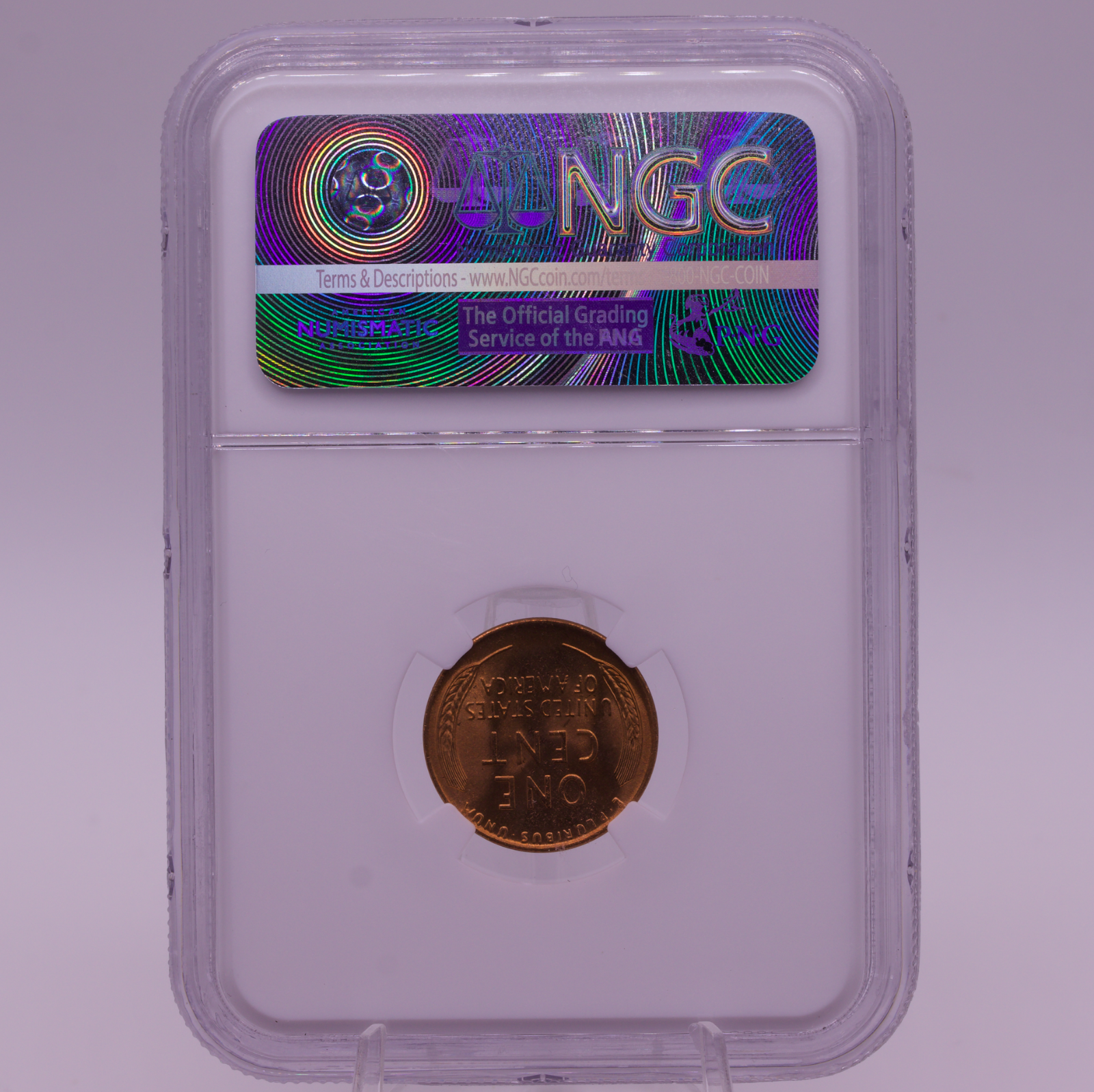 1955-D Wheat Penny 1C NGC MS67 RD Blazing Red Superb Gem Lincoln Cent