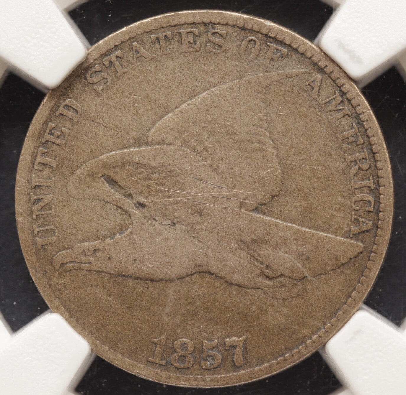 1857 Flying Eagle Cent NGC Fine Details Obv Scratched Small Cent 1C Coin