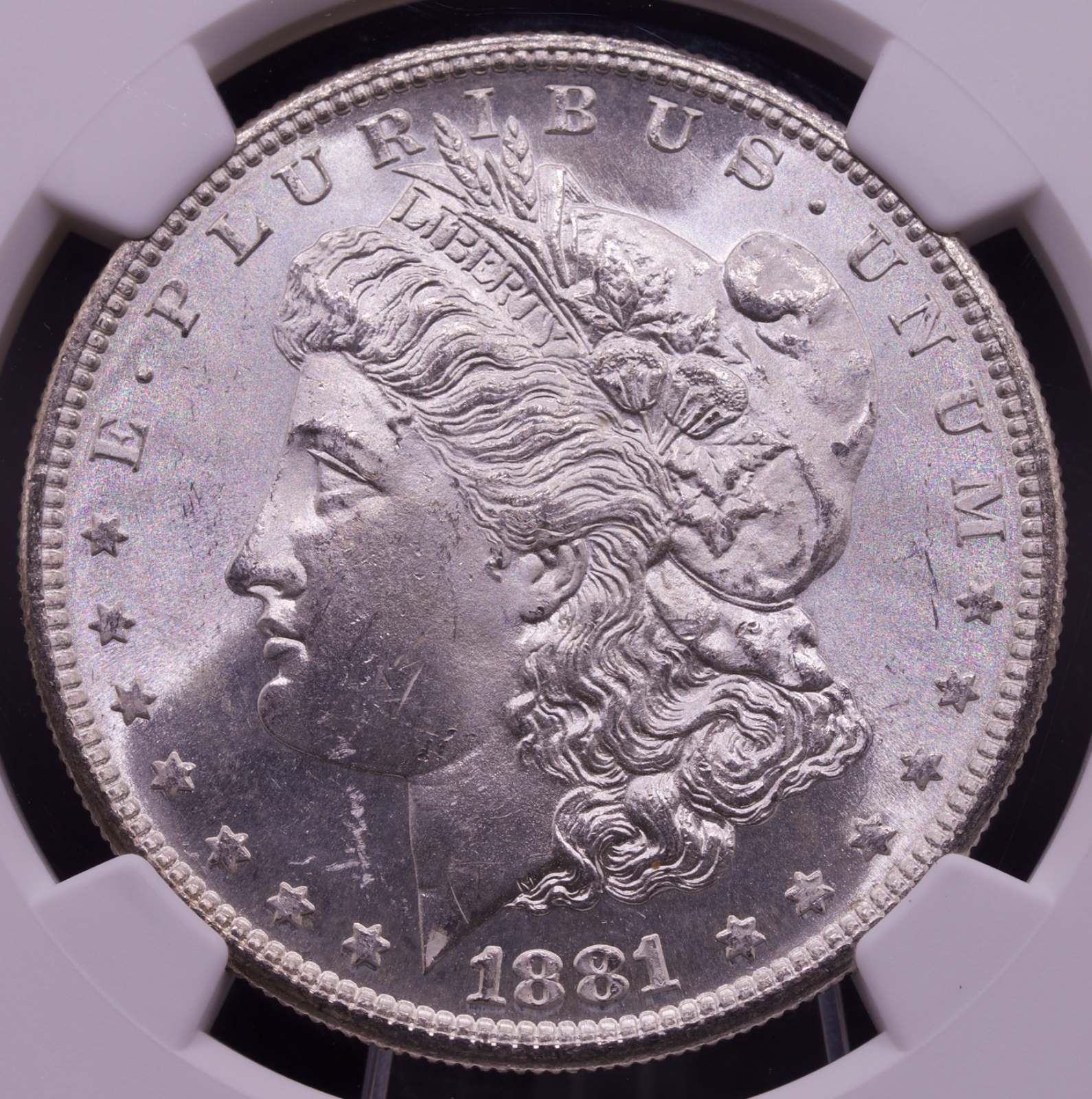 1881-S Morgan Dollar NGC MS64 Toned Reverse Sunset Rim Color San Francisco $1