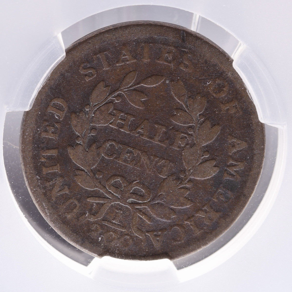 1804 Draped Bust Half Cent CAC G Details Damage Crosslet 4 Stems Early US Coin