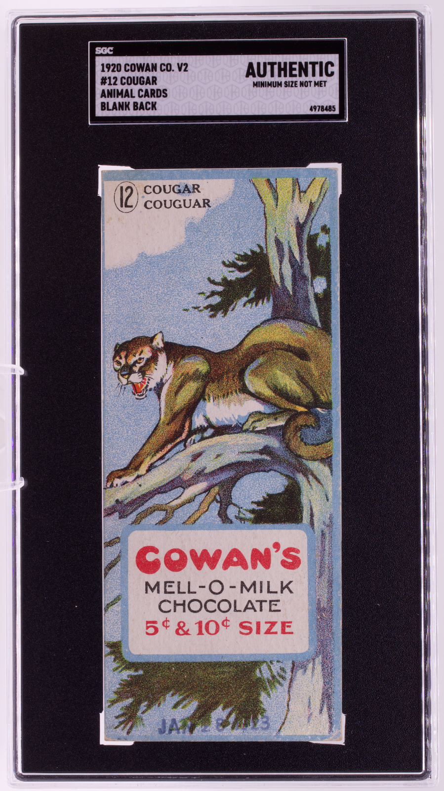 1920 Cowan Co V2 Animal Cards #12 Cougar Blank Back SGC Authentic Canadian