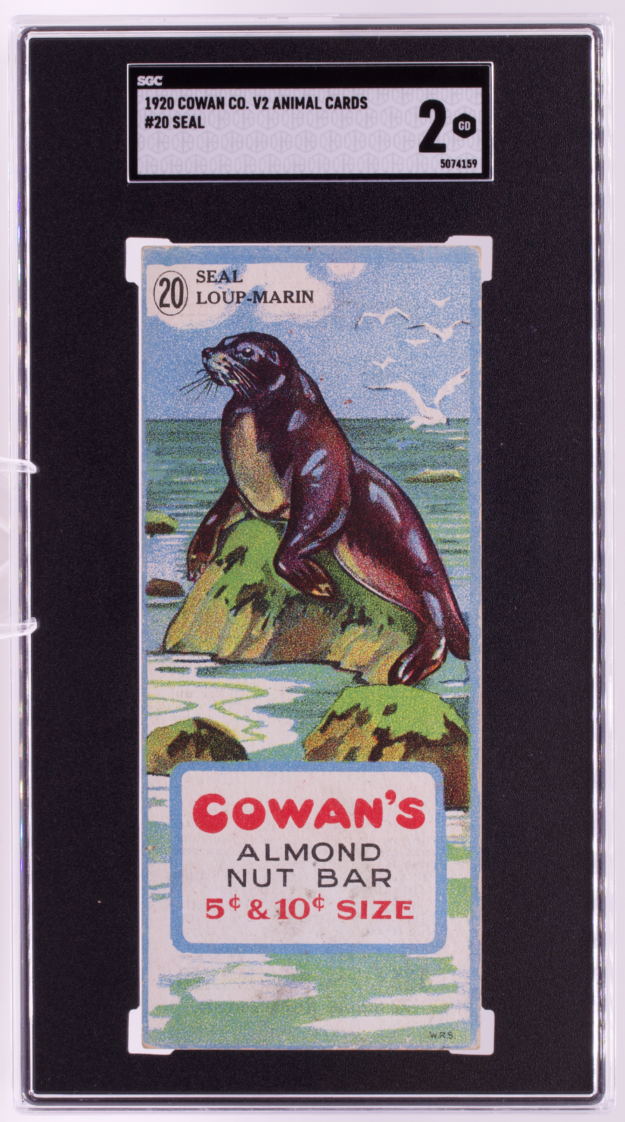 1920 Cowan Co V2 Animal Cards #20 Seal SGC 2 GD Canadian Chocolate
