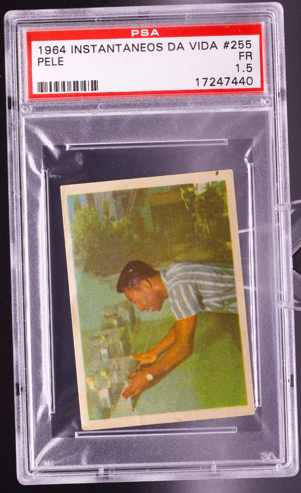 1964 Instantaneos Da Vida #255 Pele PSA 1.5 Fair Birds Passarinhos Soccer Card