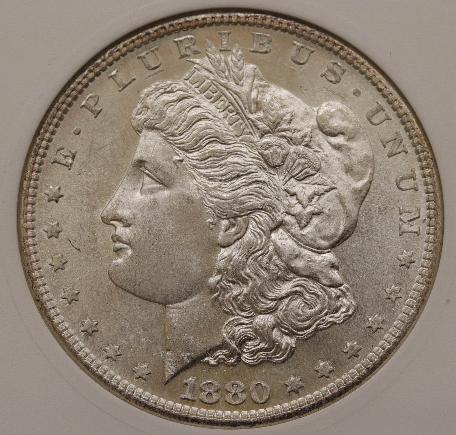 1880/79-S $1 Morgan Silver Dollar ANACS MS64 TOP 100 VAM-8 Med S *Mirror Like*