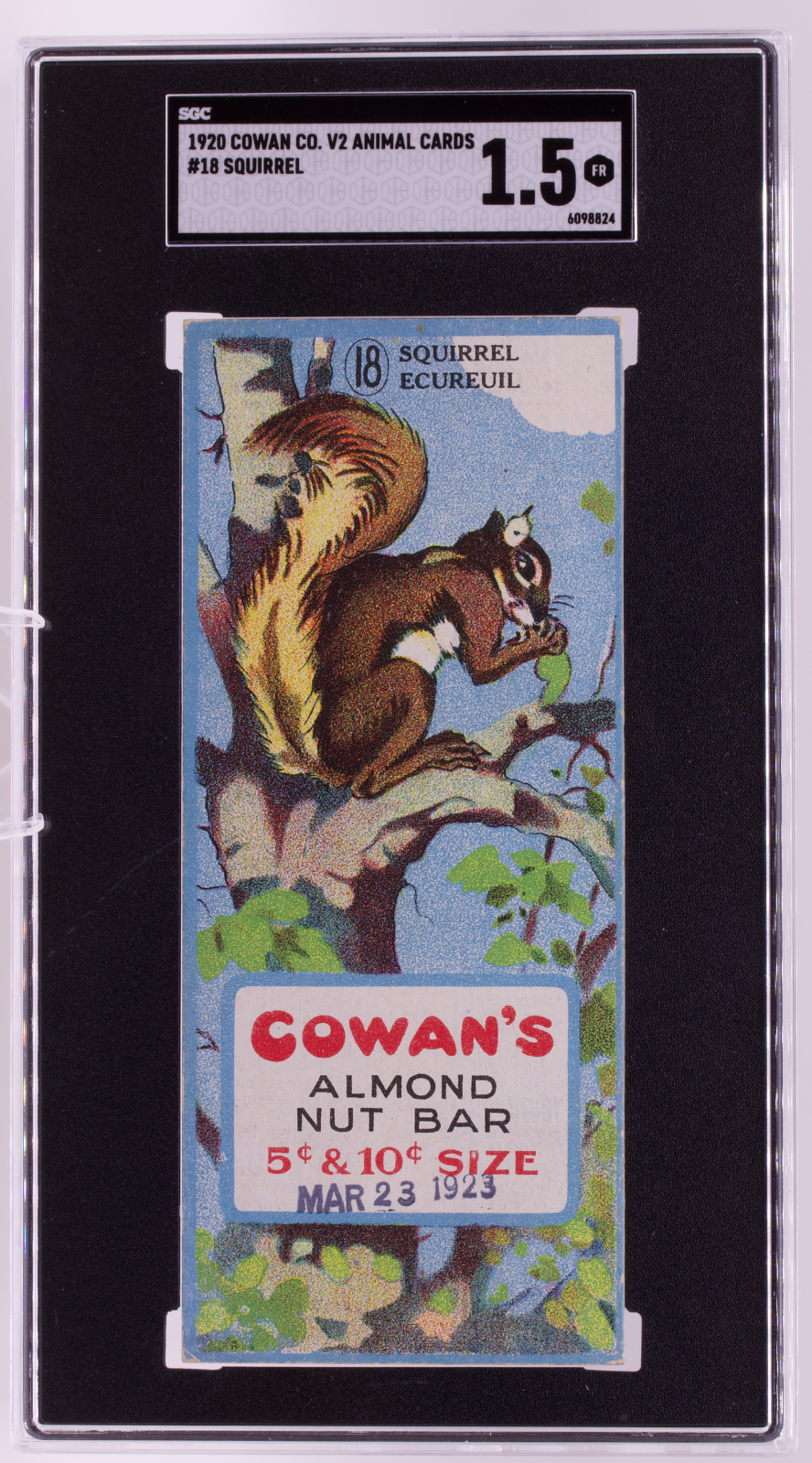 1920 Cowan Co V2 Animal Cards #18 Squirrel SGC 1.5 FR Canadian Chocolate