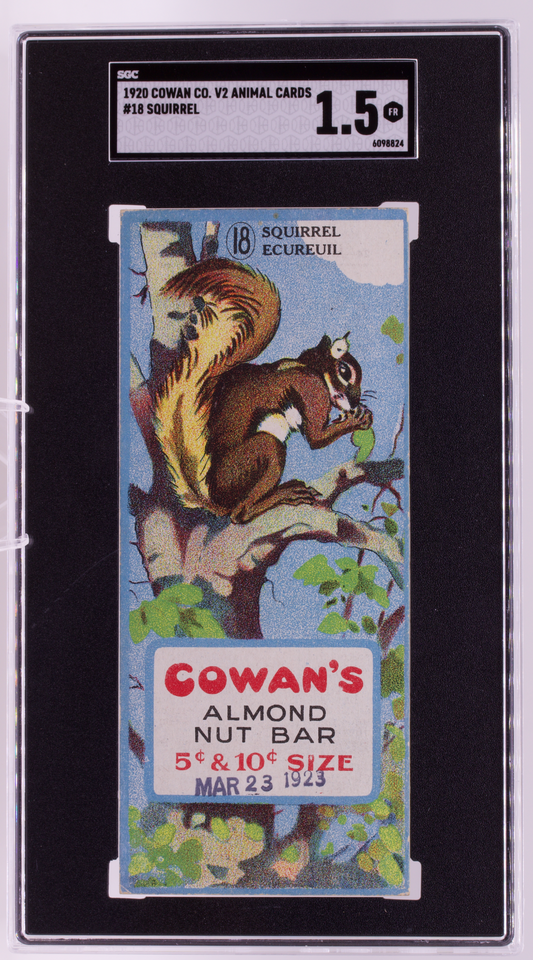 1920 Cowan Co V2 Animal Cards #18 Squirrel SGC 1.5 FR Canadian Chocolate