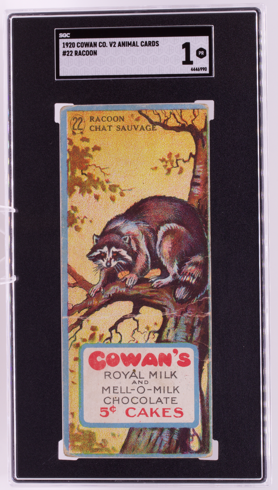 1920 Cowan Co V2 Animal Cards #22 Racoon SGC 1 PR Canadian Chocolate