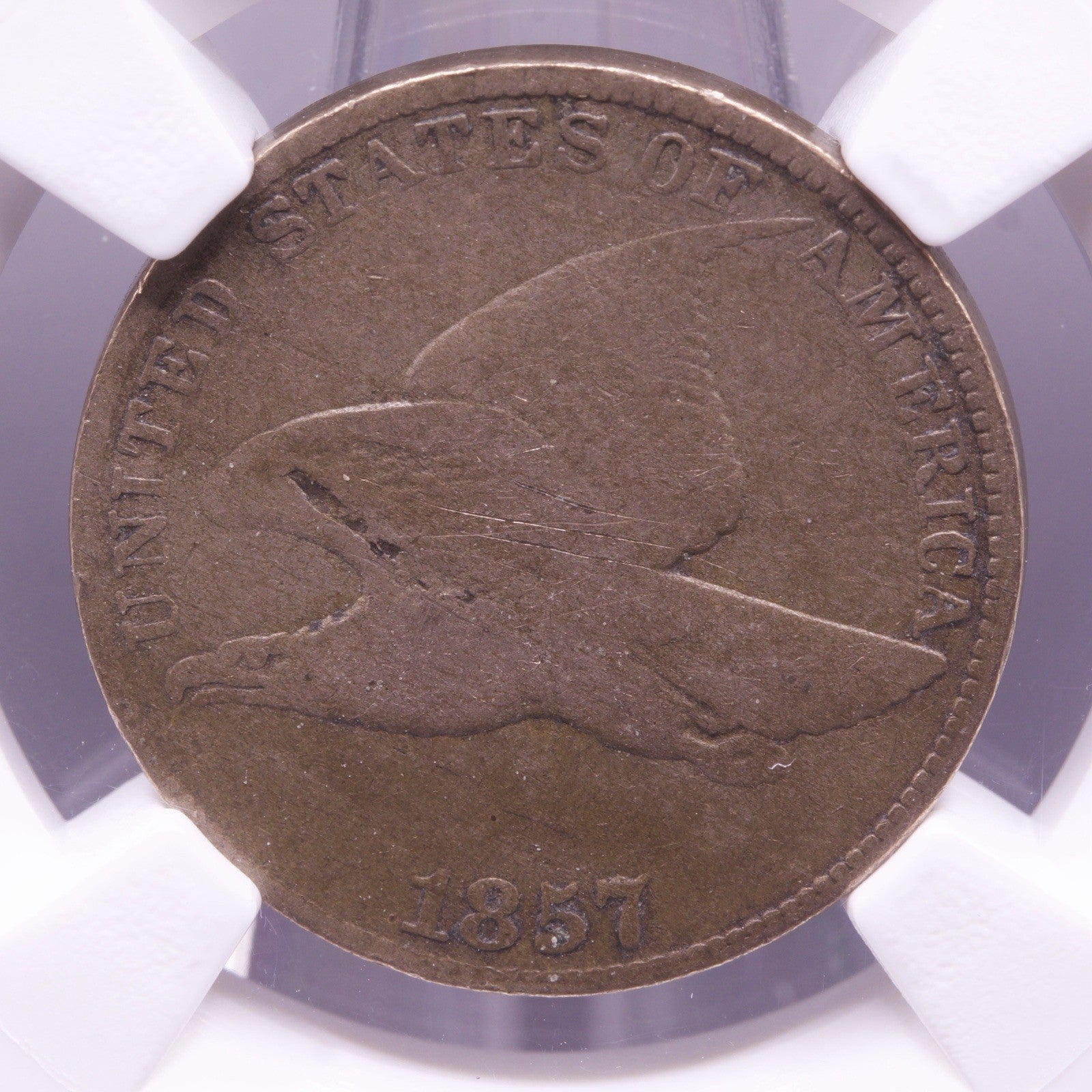 1857 Flying Eagle Cent 1c NGC Fine Details Obverse Scratched Vintage US Coin
