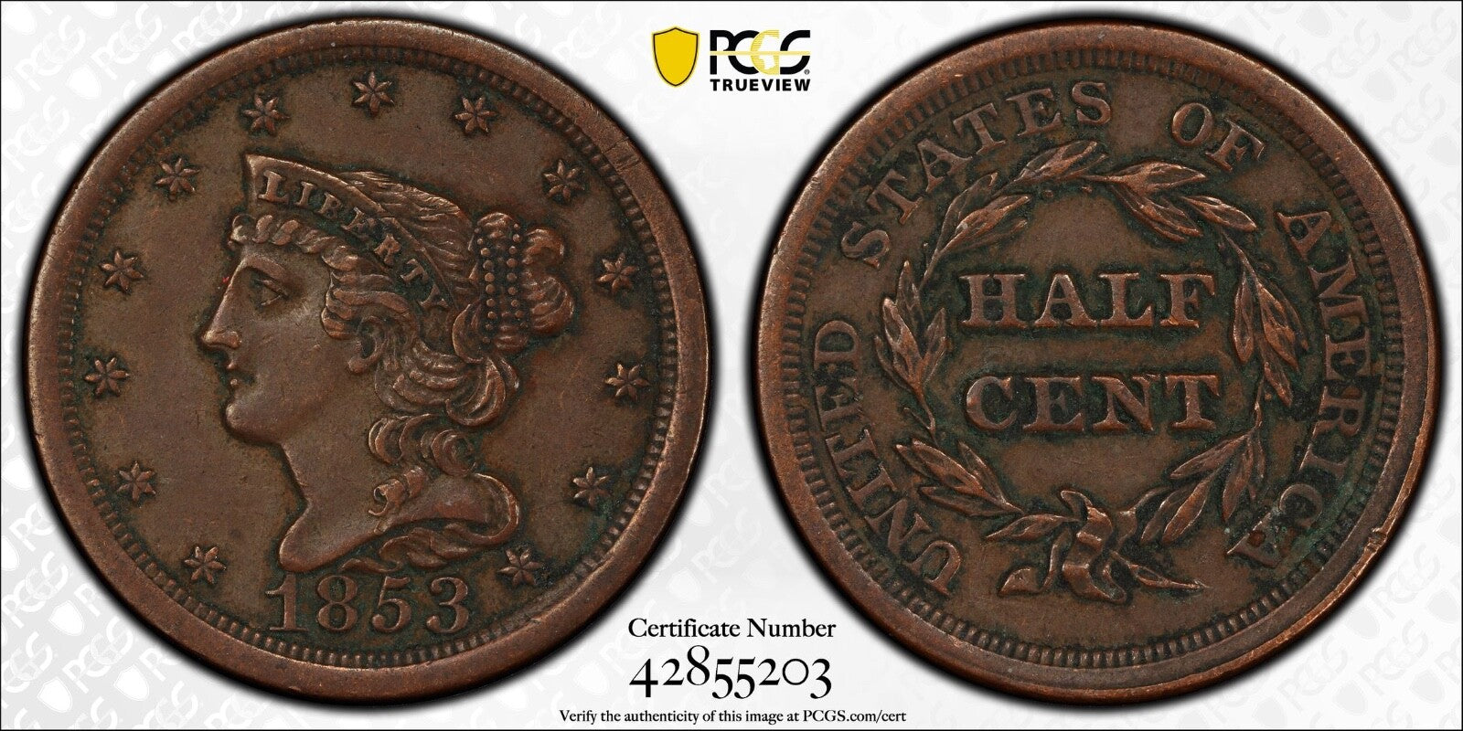 1853 Braided Hair Half Cent PCGS Genuine XF Details • Sharp LIBERTY & Bold Date