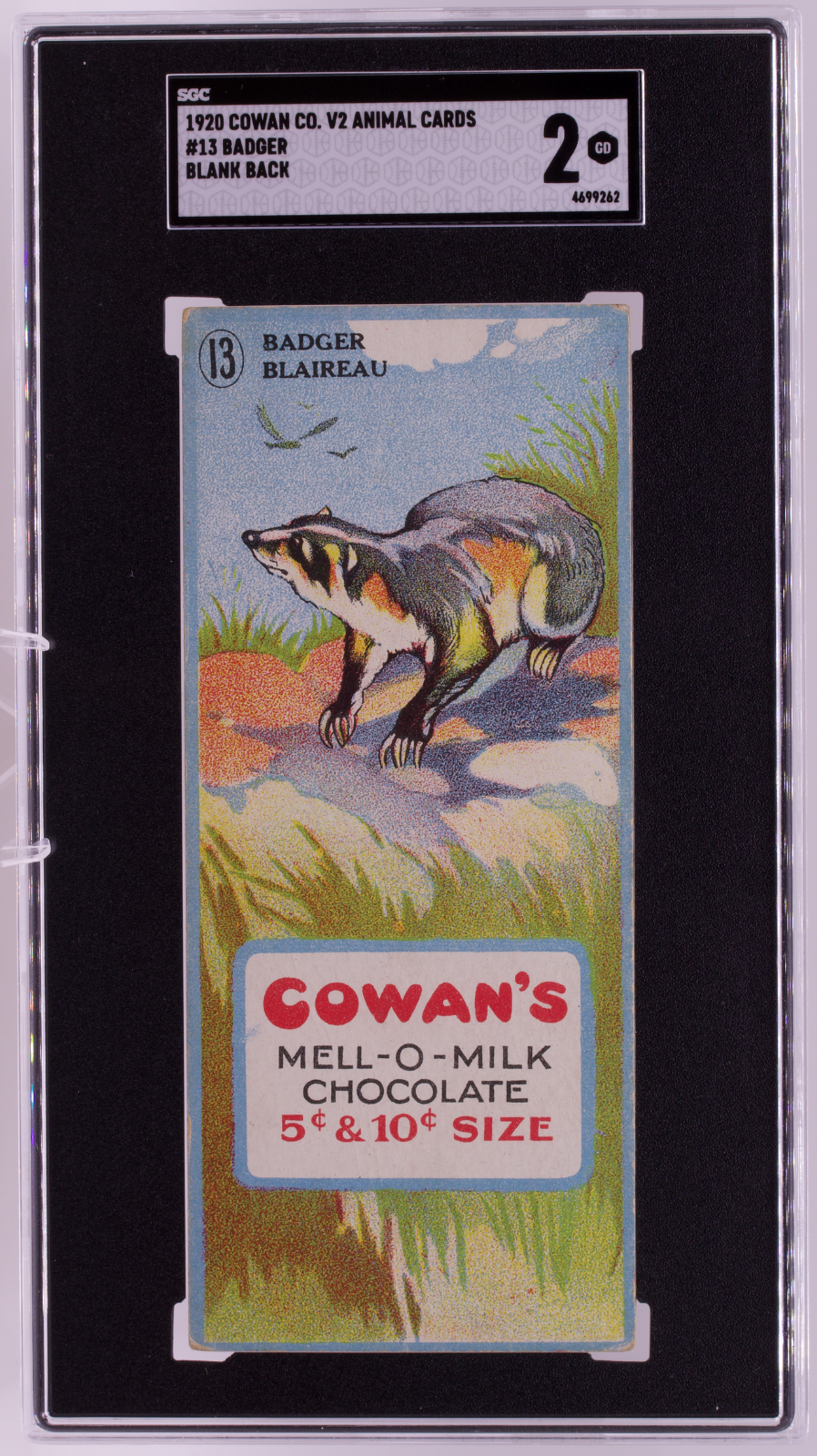 1920 V2 Cowan Co. Animal Cards #13 Badger Blank Back SGC 2 Good Mell-O-Milk