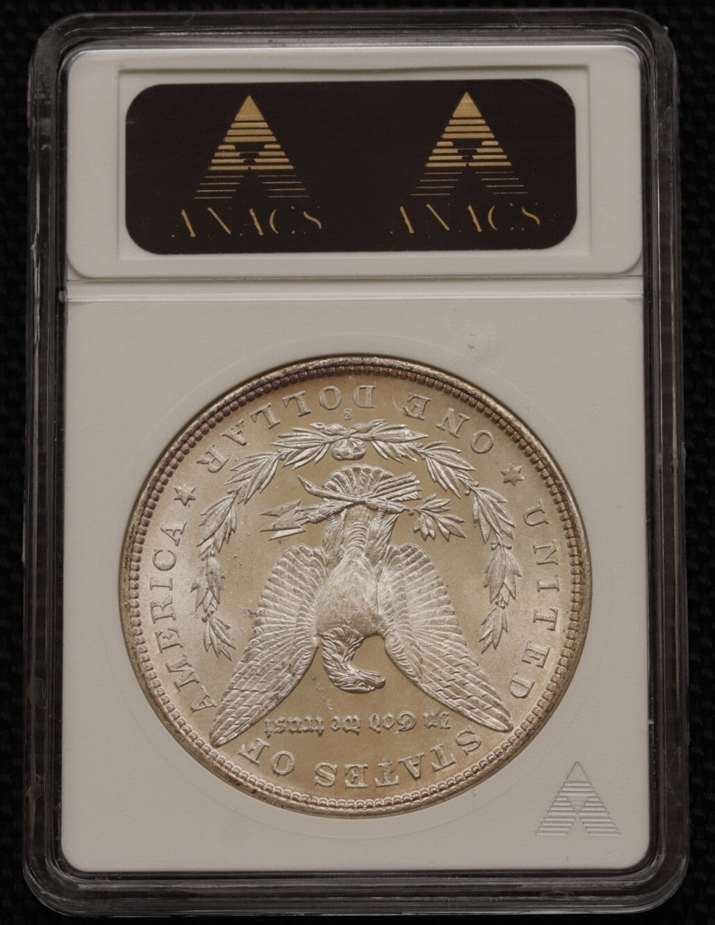 1880/79-S $1 Morgan Silver Dollar ANACS MS64 TOP 100 VAM-8 Med S *Mirror Like*