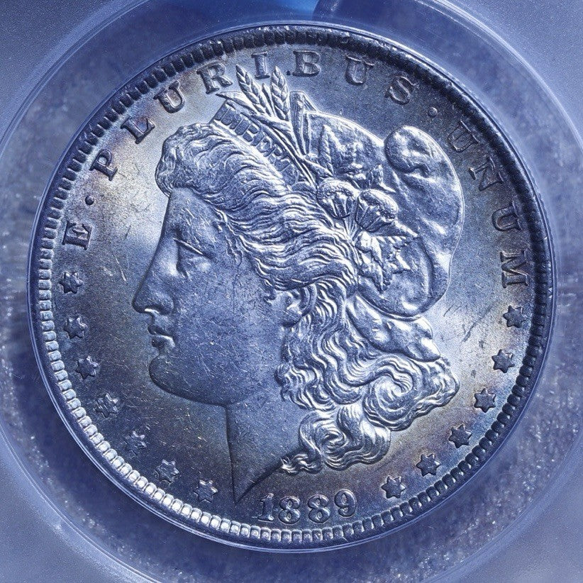 1889 Morgan $1 ANACS MS61 • Original Mint State • Lightly Toned Silver Coin