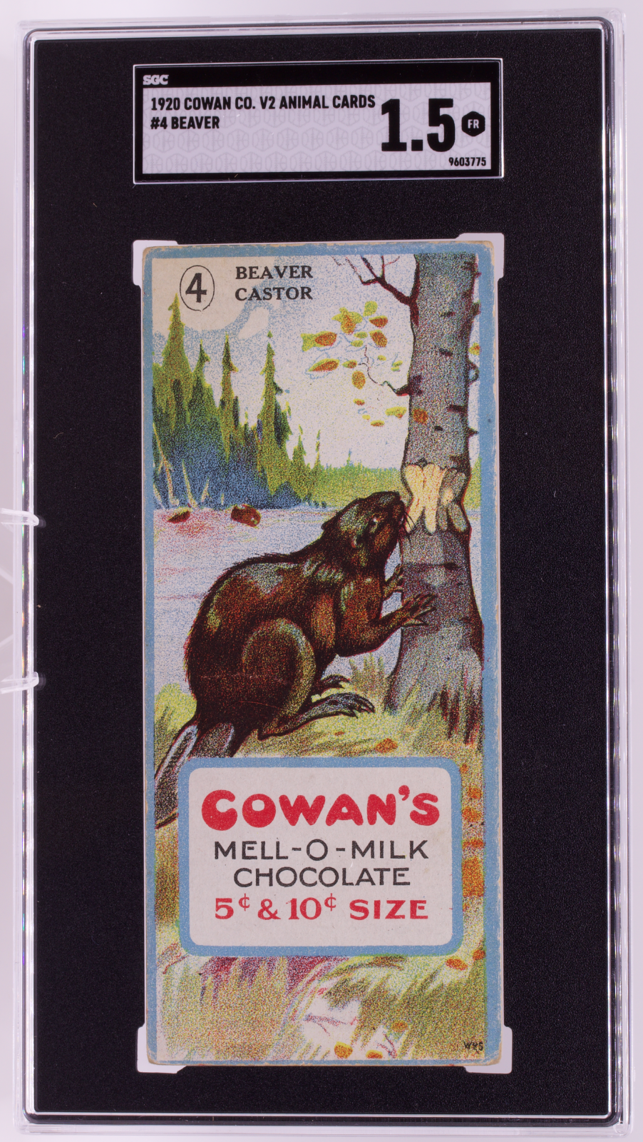 1920 Cowan Co V2 Animal Cards #4 Beaver SGC 1.5 FR Canadian Chocolate