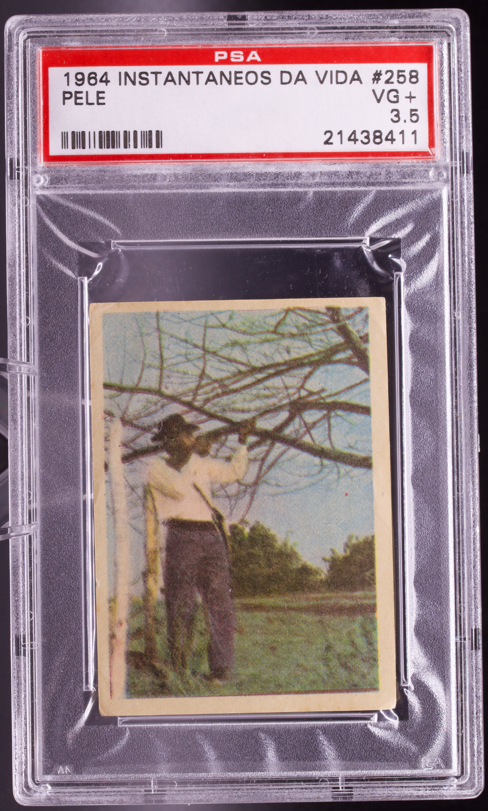 1964 Instantaneos Da Vida #258 Pele PSA 3.5 VG+ Hunting Caçar Brazil Soccer Card
