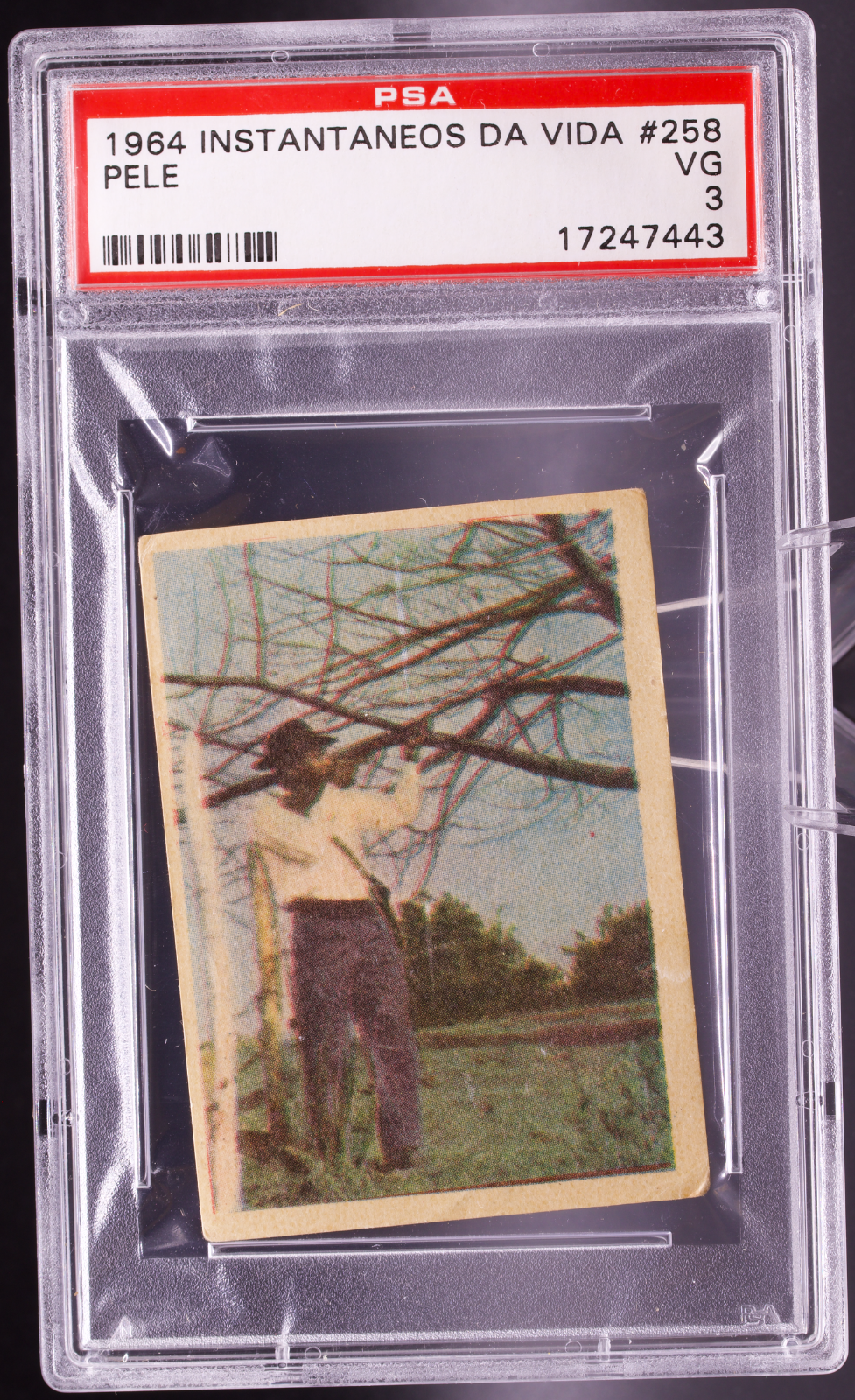 1964 Instantaneos Da Vida #258 Pele PSA 3 VG Hunting Caçar Brazil Soccer Card