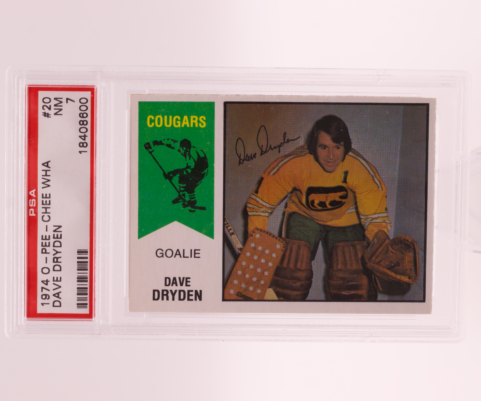 1974 O-Pee-Chee WHA Dave Dryden #20 PSA 7 NM Chicago Cougars Goalie Vintage OPC
